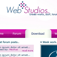 Web studios dizainas